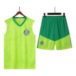 Palmeiras Training Kit